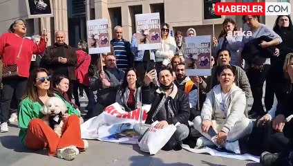 İstanbul'da Kedilere İşkence Davası: Hayvanseverler Adalet İstiyor