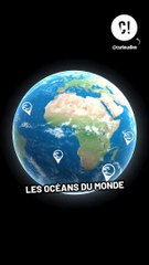 Pourquoi ce poisson a-t-il des ailes ?!