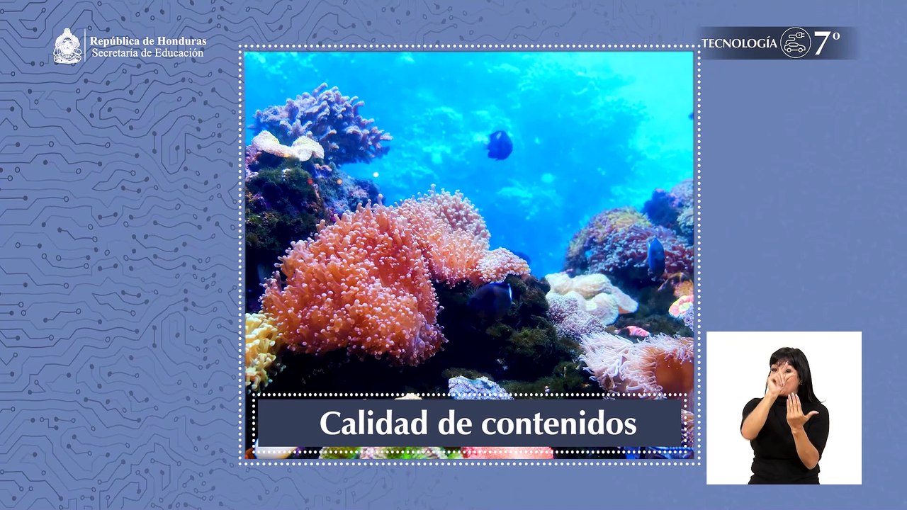 Abriendo mentes #17, #7 Tecnología Lección Educativa