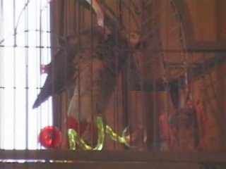 Crunch chut tais toi