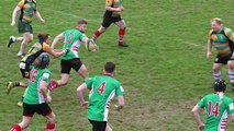 Petersfield 2nd XV v Alresford and Petersfield Veterans v Guildford Veterans