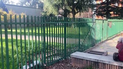 Pioltello, l'uscita dalla scuola Iqbal Masih