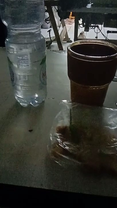 makan