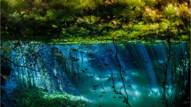 Verschwundene Insel: Forscher entdecken ein versunkenes Paradies vor der Küste Brasiliens