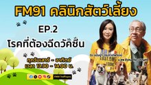 โรคที่ต้องฉีดวัคซีน EP.2 : FM91 คลินิกสัตว์เลี้ยง : 16 มีนาคม 2567