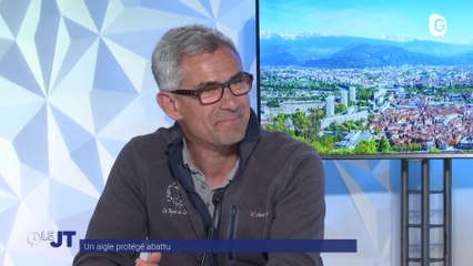 Le JT - 18/03/24 - Rencontres en jeu, Alexander Chekmenev, espèce protégée