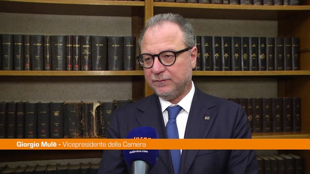 Sanità, Mulè Tecnologia e ricerca fondamentali per il paziente