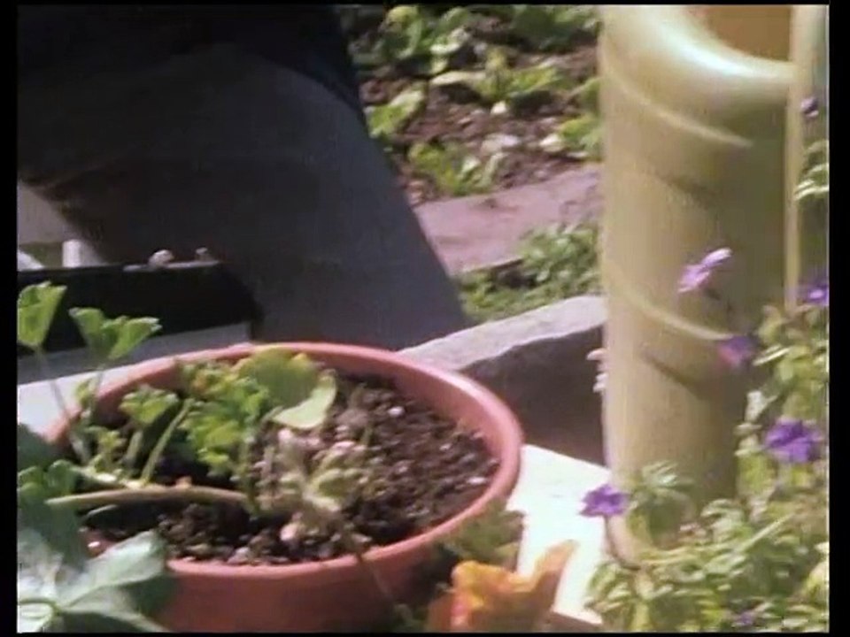 Der Millionenbauer - Ganze Serie - Staffel 1/Folge 7 - 'Ein Mann unseres Vertrauens' - 1980