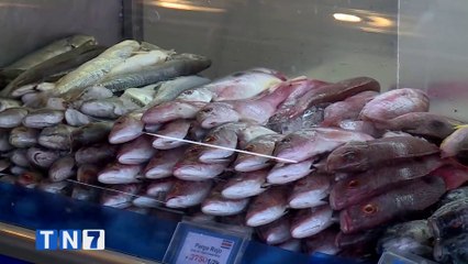 tn7-meic-presenta-estudio-de-precios-sobre-productos-de-alta-demanda-en-semana-santa-180324