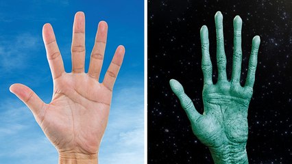 What If You Were Born and Raised in Zero Gravity