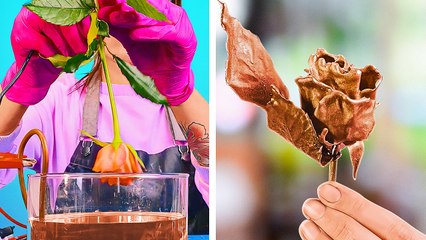 Home Decor ideas to make all your Rooms Cozy