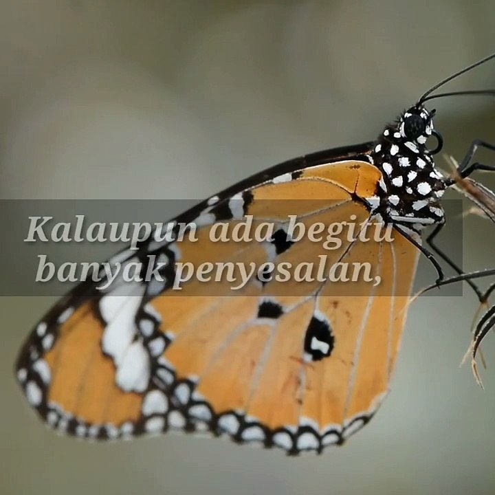Konten_Motivasi (5)