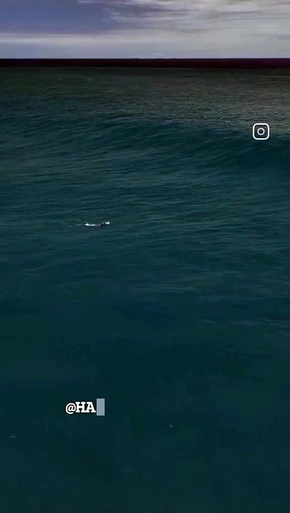 VID_278980615_233958_230