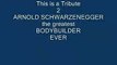ARNOLD SCHWARZENEGGER - THE BODYBUILDER TRIBUTE