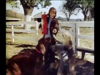 1977 Gravy Train Dog Food with June Lockhart TV commercial