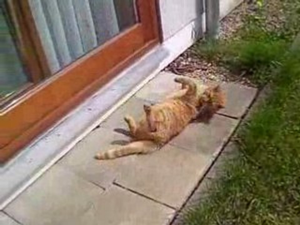 O'Malley fait le beau