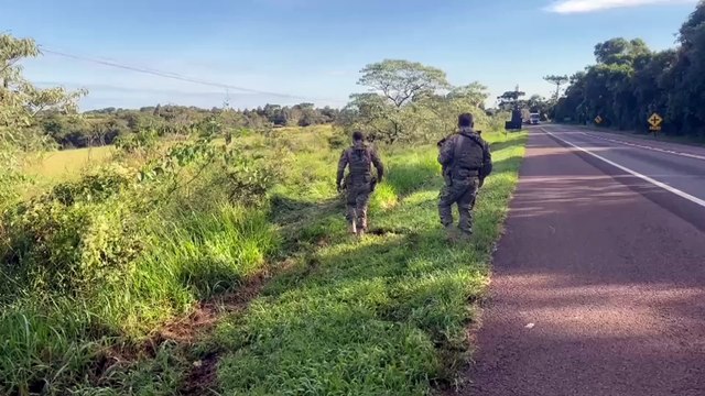 Com maconha escondida no mato, dupla é presa pela PRF ao tentar escapar de cena do crime no Paraná