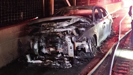 고속도로 달리던 승용차에서 불...근처 야산으로 번져 / YTN