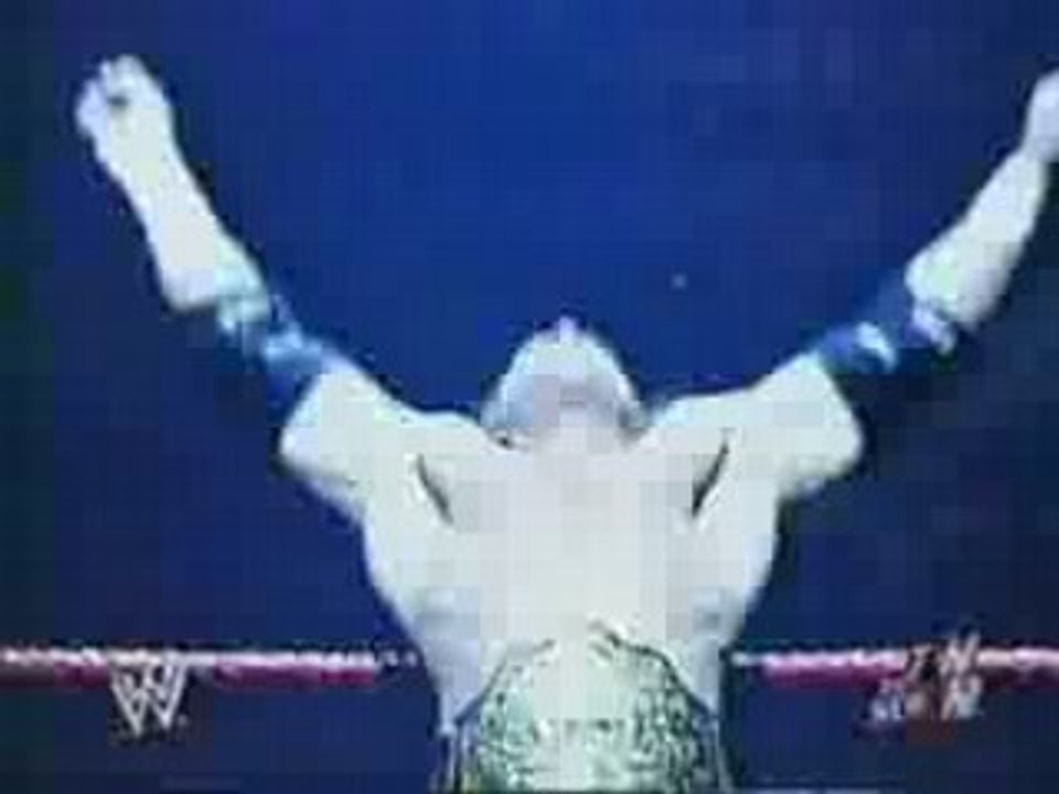 Shawn michaels & ric flair vs Triple H