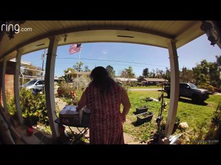 Altercation Between Mail Carrier and Package Sender