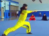 Awesome Kung Fu Display