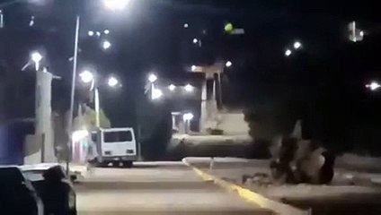 Captan extraños seres diminutos en plena calle