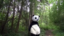 Escalofriante Baile del Panda