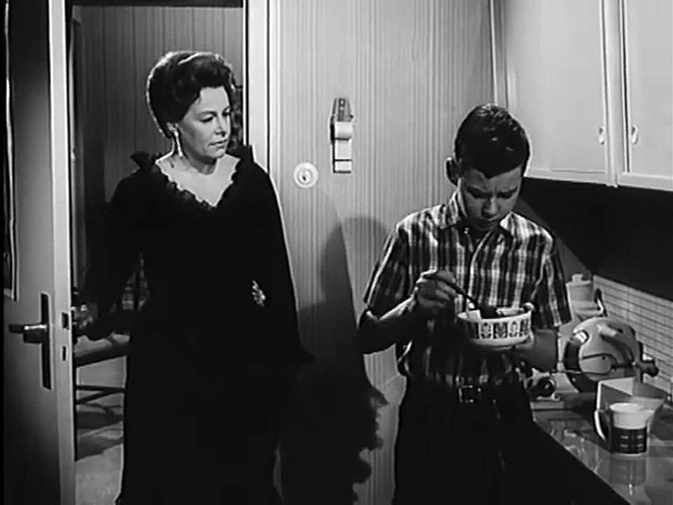 Die Bräute meiner Söhne - 07.Eine Stewardess kommt selten allein (17.12.1965)