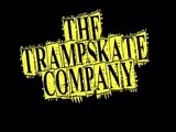 skateboarding on a trampoline, trampboarding, trampskating,tricks