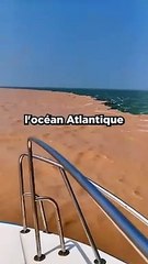 Pourquoi Les Océans Atlantique et Pacifique Ne Se Mélangent Pas