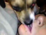 Dog Licking Girls Lips While She Sleeping