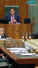 Pro-Palestine Protest Disrupts Parliament During Gaza Ceasefire Debate ✊