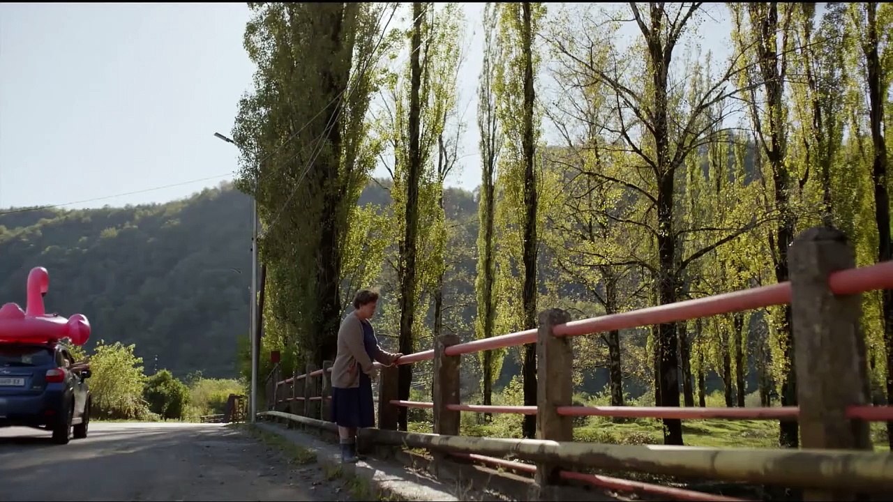 AMSEL IM BROMBEERSTRAUCH Film