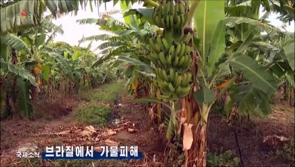 Notícias da Televisão Central da Coreia (18.03.2024)