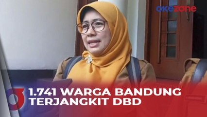 Waspada! 1.741 Warga Bandung Terjangkit DBD, 8 Meninggal Dunia