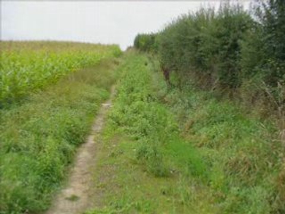 Les BONNIARTS