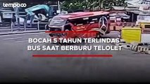 Kabar Terbaru Bocah Terlindas Bus di Merak, Begini Nasib Sang Sopir