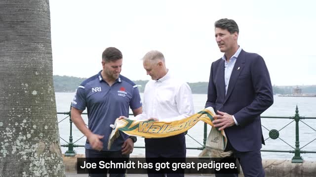 Schmidt has 'the right credentials' to resurrect the Wallabies - Underwood