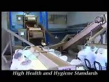 Turkish Hazelnuts processing Stages - SAMRIOGLU