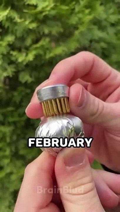 Random Facts To Shock You 19