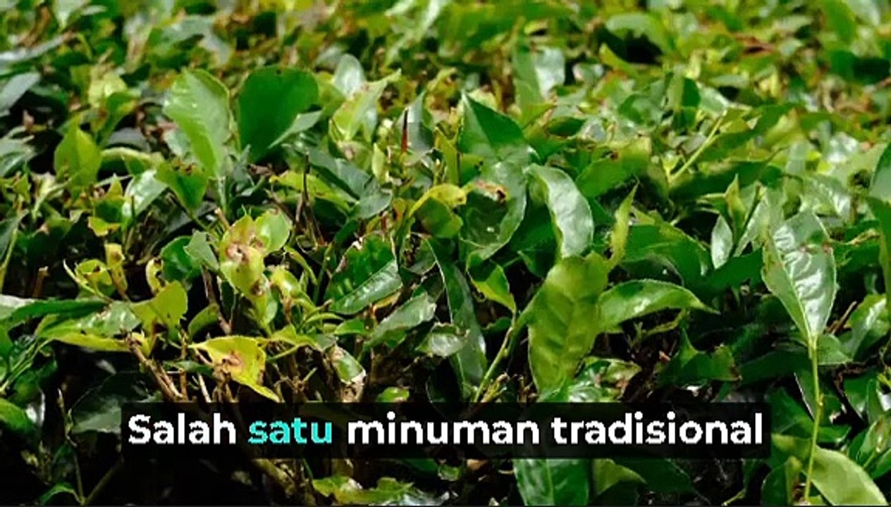 ✨Minuman khas indonesia ✨