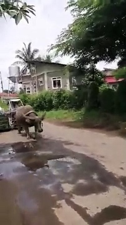 Disarte para makatipid