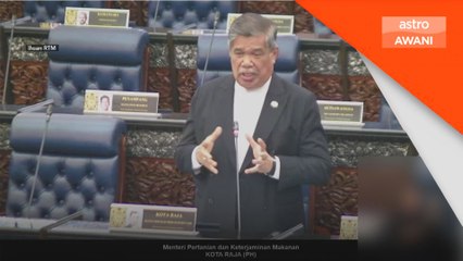 Skim baharu tangani isu beras akan diumumkan minggu ini Topik: Sidang Parlimen