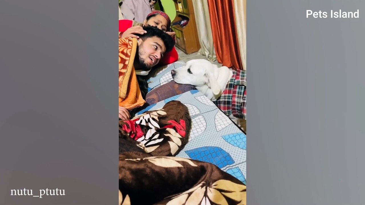 I think my dog was a JEALOUS PERSON IN A PAST LIFE 