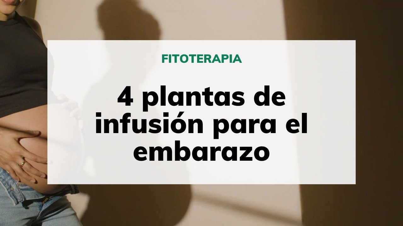 4 plantas para infusión que puedes tomar en el embarazo
