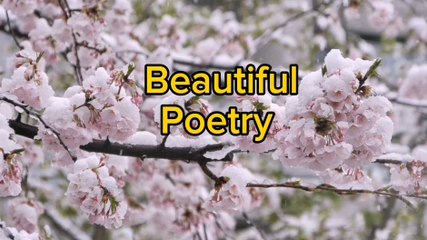 Poetry #beautiful poetry #urdupoetry