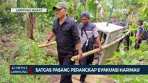 Satgas Pasang Perangkap Tangkap Harimau yang Serang Warga