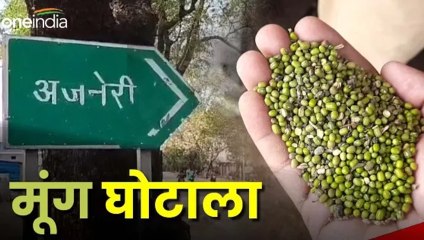 बोरी का वजन बढ़ाने के लिए मूंग में मिला दी 14 करोड़ रुपये की मिट्टी, ऐसे हुआ घोटाले का खुलासा