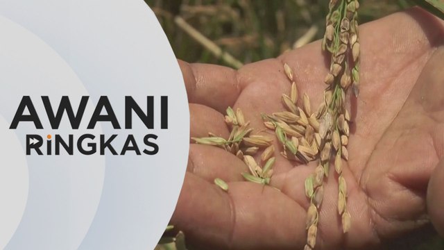 AWANI Ringkas: Kerajaan akan umum skim baharu tangani isu beras