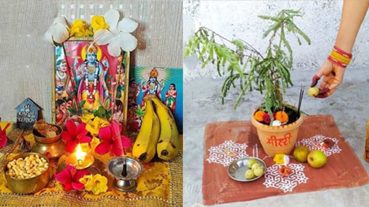 Amla Ekadashi 2024: आंवला एकादशी व्रत कैसे करें | आंवला एकादशी पूजा विधि | Boldsky